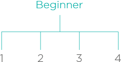 beginner.png (thumb - 400 x 400 free)