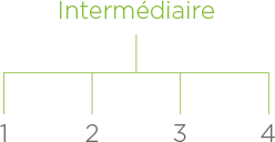 intermediaire.png (thumb - 400 x 400 free)