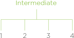 intermediate.png (thumb - 400 x 400 free)